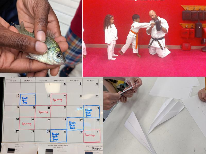 The Dojo American Karate Centers