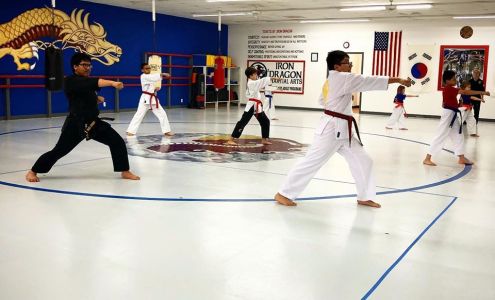 Iron Dragon Martial Arts