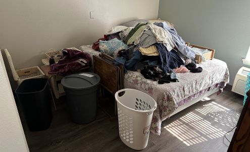 Haul Gone Junk Removal 1716 County Rd 654D, Brazoria Texas 77422