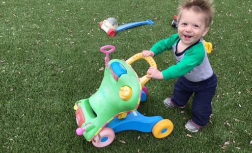 Starfish Scholars of Milton