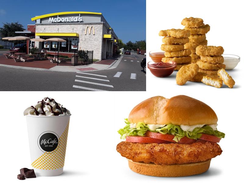 McDonald's 1733 Bruce B Downs Blvd, Wesley Chapel