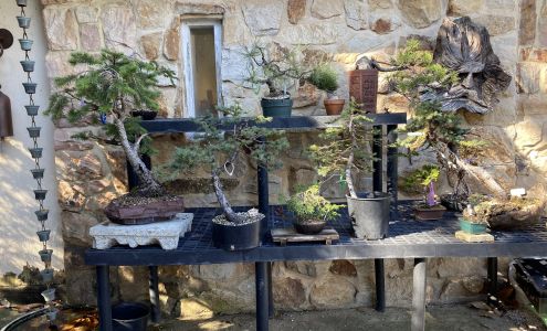 Nature's Way Nursery Inc