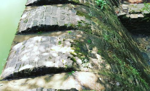 US Forestry Department Pennington Gap