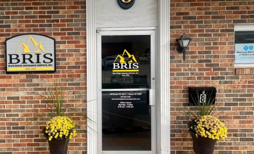 Blue Ridge Insurance Service Inc.