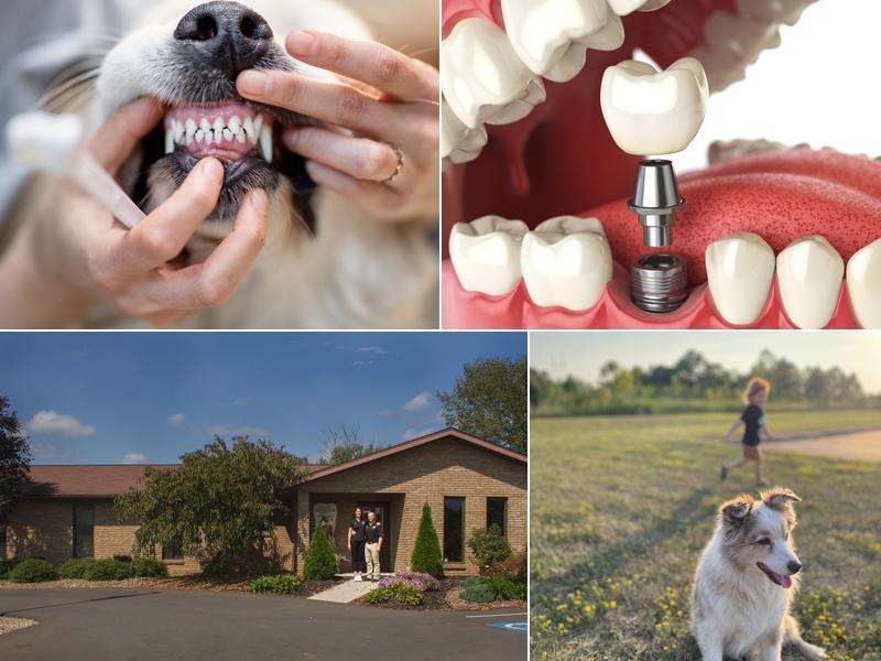 Dr. Russell Tritapoe DDS, PLLC