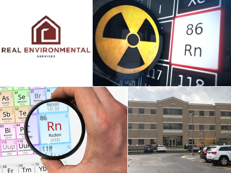 REAL ENVIRONMENTAL SERVICES - Chicago