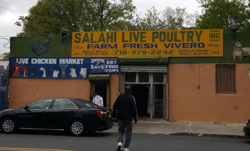 Salahi Live Poultry