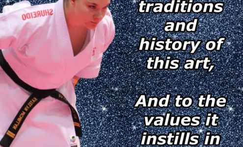 Gate City Ata Martial Arts Llc