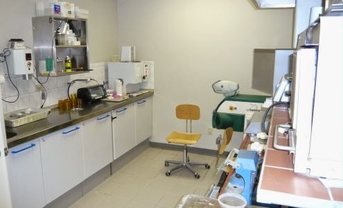 Dental Professional Labs Inc