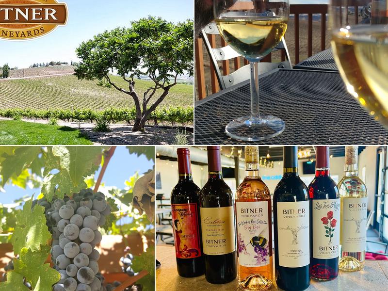 Bitner Vineyards 16645 Plum Rd, Caldwell