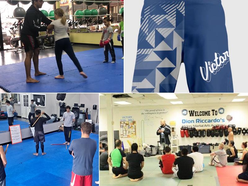 Victory Martial Arts Plainfield