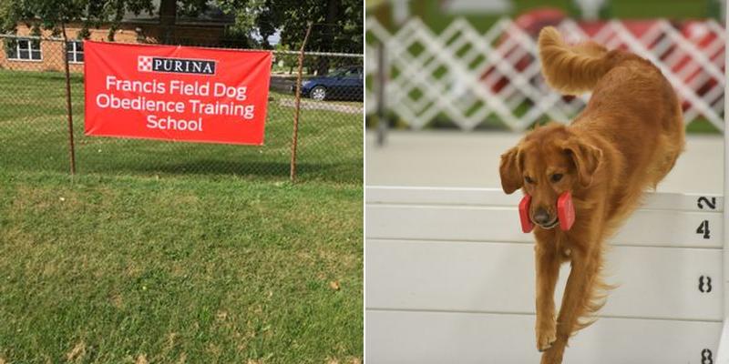 Francis Field Dog Obedience School