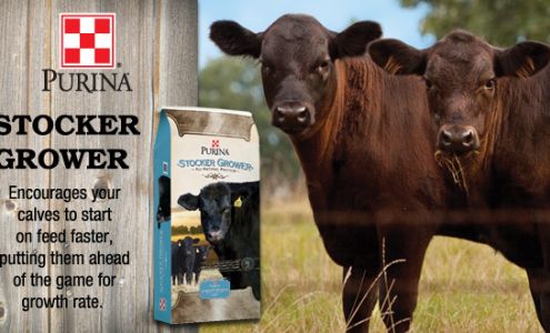 4 Corners Farm & Garden Castle Rock