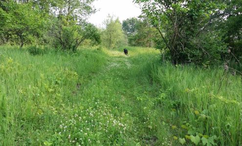 Blue Fox Farms LLC Wawaka