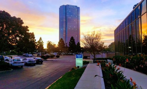 Morgan Stanley Financial Advisors