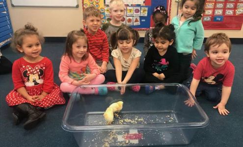 Little Learner Children's Academy