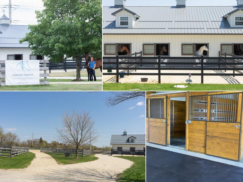 Iverson Equine Practice