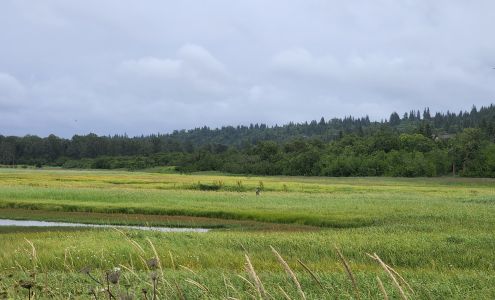 Deep Creek State Recreation Area Ninilchik