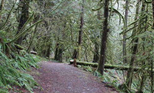 Maple Creek Park Maple Falls