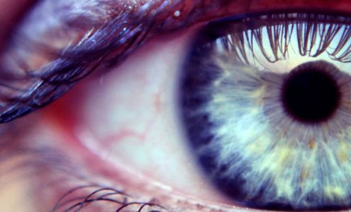 Tri-County Eye Center