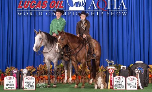 B&B Reinebach 11425 Evans Mill Rd, Princeville Illinois 61559