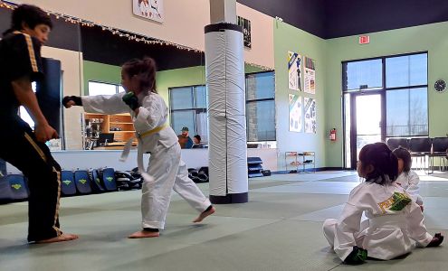 Premier Martial Arts Trophy Club Trophy Club