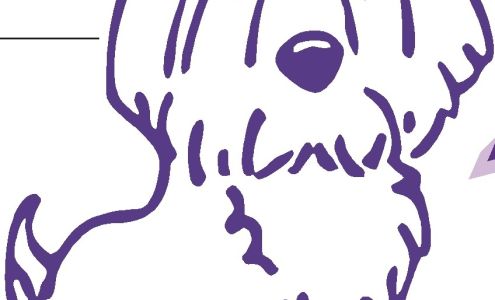 Purple Puppy Nursery School Auburn