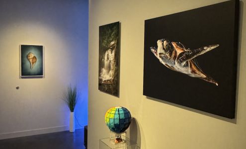 Citadel @ Palmetto Bluff Bluffton