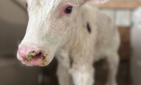 Elm Tree Christian Child Care Center