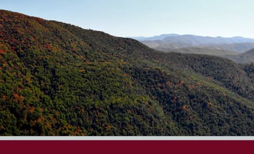 Wyatt Insurance Agency