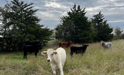 State Farm Insurance