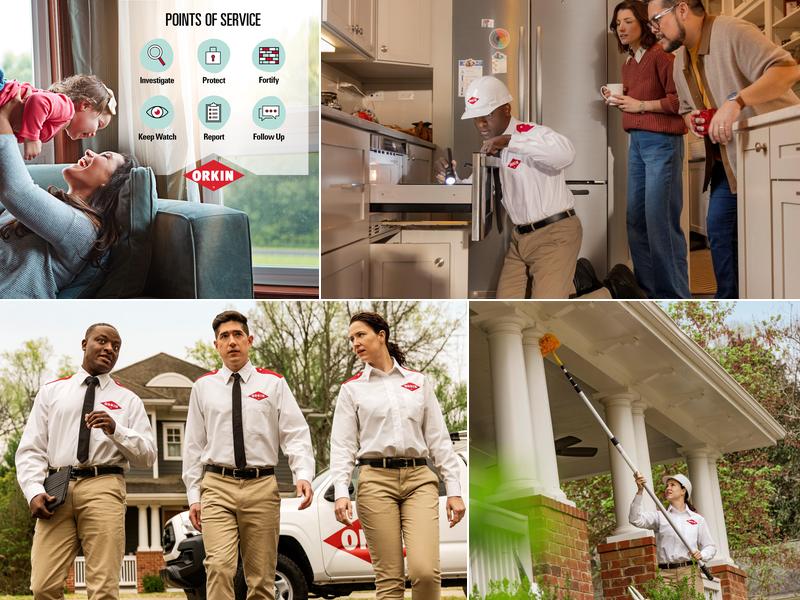 Orkin