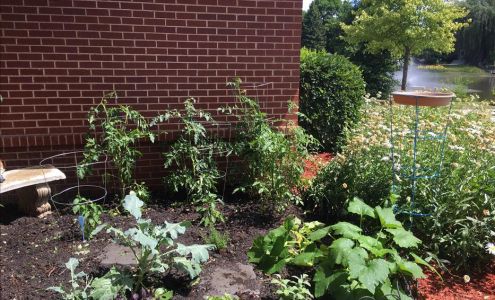 North Schaumburg KinderCare