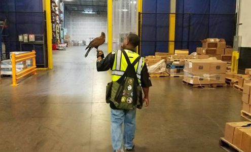 Raptor Enforcement 300 Luby Dr, Tom Bean Texas 75489