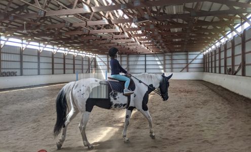 JAMIE GERARDI Equestrian Instruction 1113 County Rd 100 E, White Heath Illinois 61884