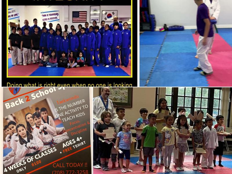 Champion Taekwondo Institute of Blue Island, Inc.
