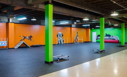 Downtown Dogs Chicago