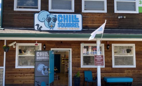 The Chill Squirrel Trading Company Bailey