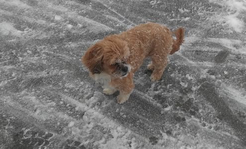 S & S Concrete and Soil Testing 20-39 129th St, College Point New York 11356