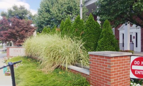 Eye Specialists of Indiana