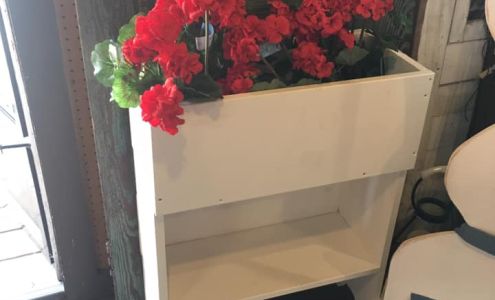 Somewhere in Thyme Linton