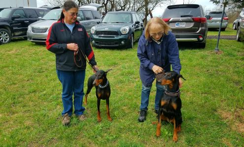 Canines In Action, Inc.