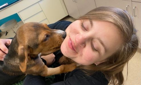 Lakeland Animal Care