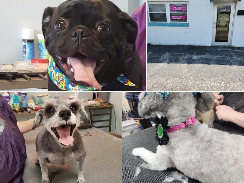 Amanda's Dog Salon