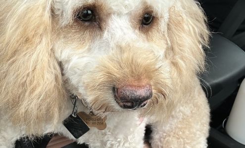 Dogs Done Right 12727 N Green River Rd, Evansville Indiana 47725