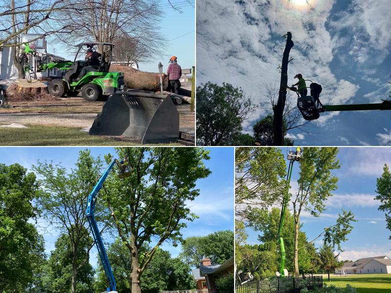 Bull of the Woods Tree Service