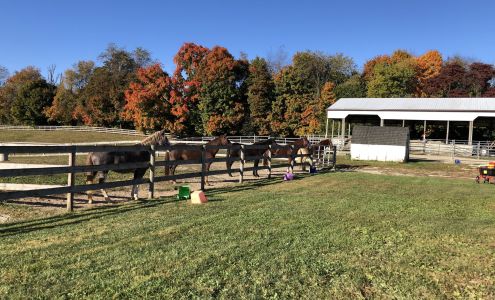 People & Animal Learning Services (PALS)