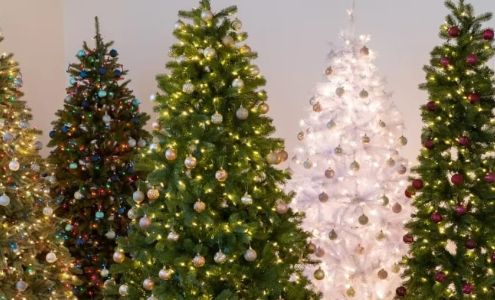 Pleasant Plains Fire Protection District Pleasant Plains