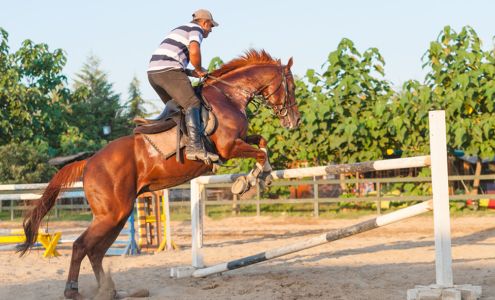 Dusty Road Saddlery And Repair Burnettsville