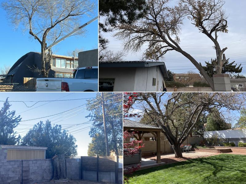 Kiki's Tree Services